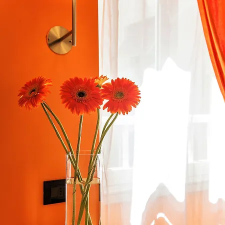 Tuscolana فندق